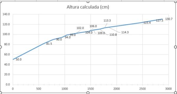 Sin título.jpg