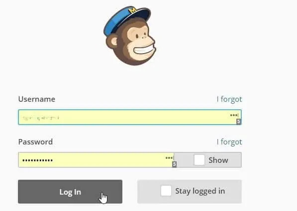 Logueo Mailchimp