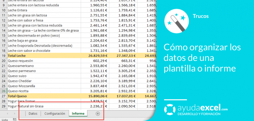 Cómo Organizar Los Datos De Una Plantilla O Informe Ayuda Excel 