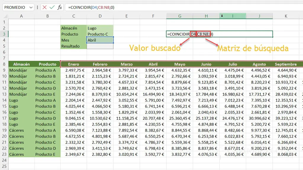 Uso de la función COINCIDIR