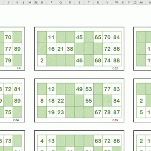 bingo excel