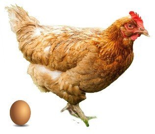 Referencias-circulares-Excel-huevo-gallina