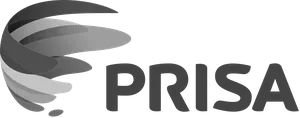 grupo prisa ayudaexcel