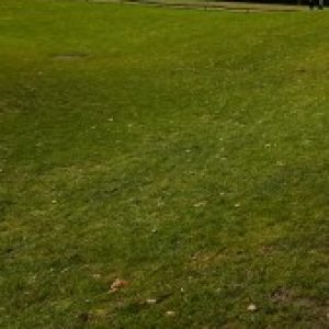 Foto de perfil de José María